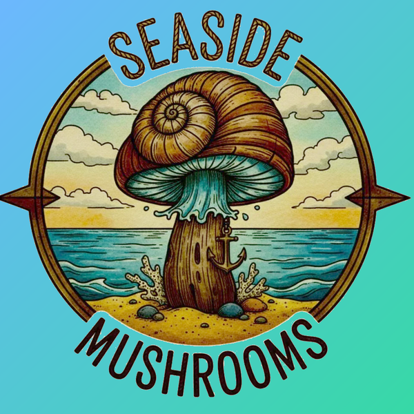 Seaside Mushrooms